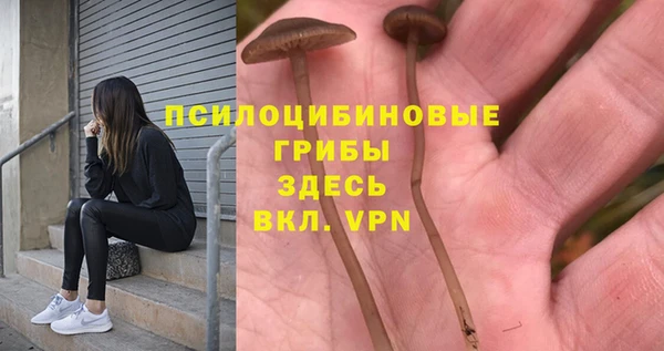 метамфетамин Аркадак
