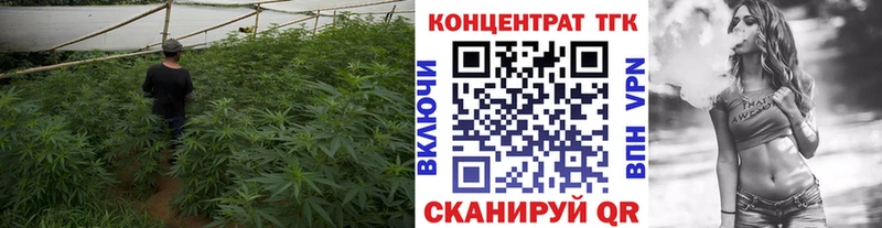 даркнет сайт  Мелеуз  Дистиллят ТГК THC oil 